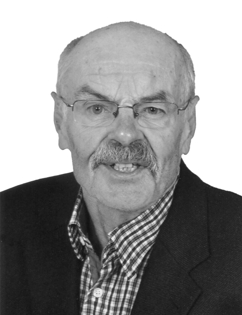 Portrait von Prof. Dr. phil. Gerd Steffens