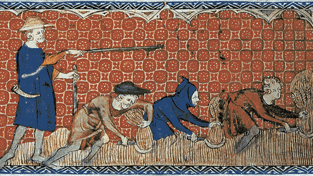 Leibeigene bringen die Ernte ein; mittelalterliche Kalenderillustration